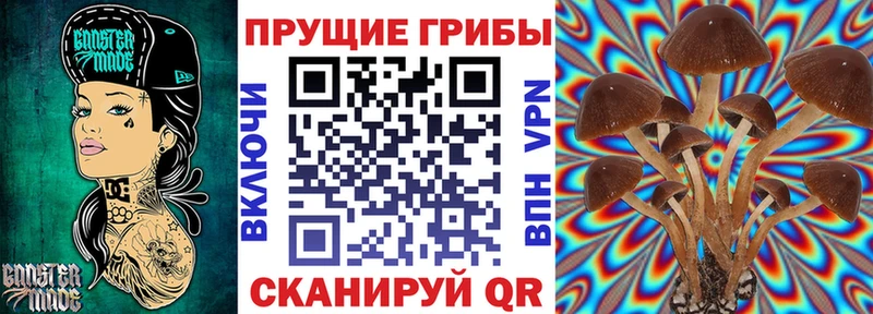 как найти наркотики  MEGA ONION  Галлюциногенные грибы мухоморы  Буинск 